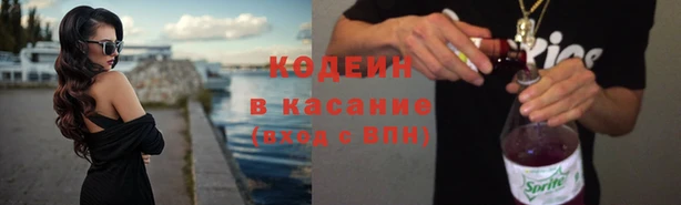гашик Алзамай