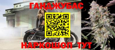 скорость Кандалакша